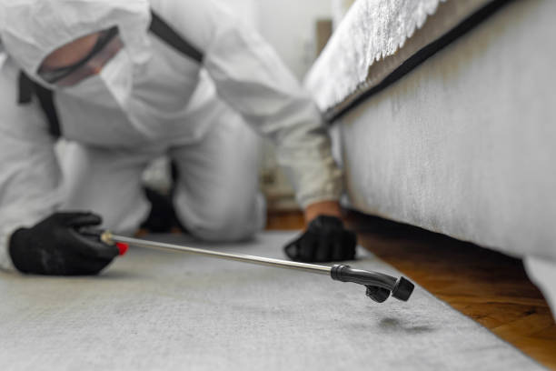 Professional Termite Control technician working in Carroll County County, MO